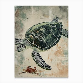 Vintage Sea Turtle & Crab Illustration 3 Canvas Print
