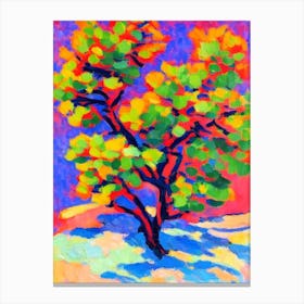 Rocky Mountain Juniper tree Abstract Block Colour Canvas Print