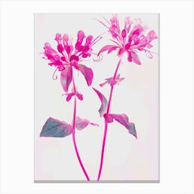 Hot Pink Bee Balm 2 Canvas Print