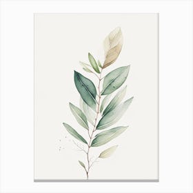 Sage Leaf Minimalist Watercolour Canvas Print