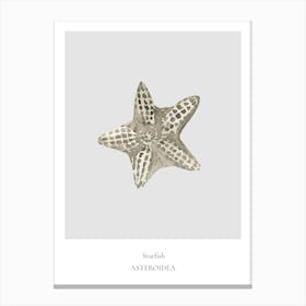 Starfish Anthonya Canvas Print