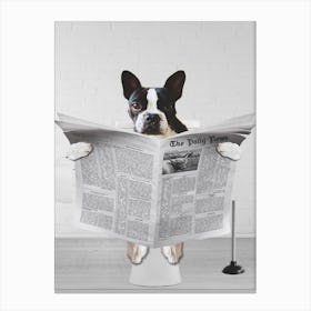 Boston Terrier Sitting On Toilet Canvas Print