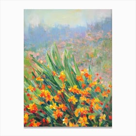 Clivia 2 Impressionist Painting Plant Canvas Print