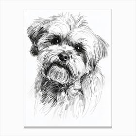 Maltese Dog Line Drawing Sketch 1 Canvas Print