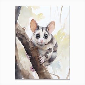 Light Watercolor Painting Of A Sugar Glider 7 Canvas Print