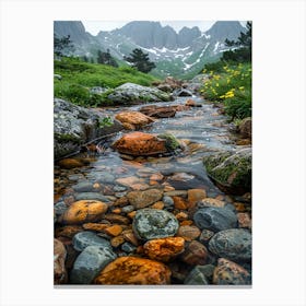 Stream In The Mountains 1 Canvas Print