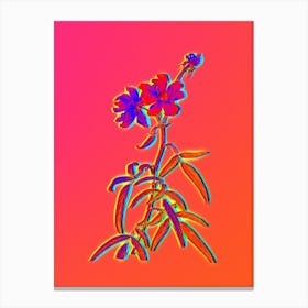 Neon Peach Leaved Rose Botanical in Hot Pink and Electric Blue n.0277 Canvas Print
