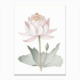 Double Lotus Pencil Illustration 1 Canvas Print
