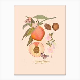 You Are A Peach Canvas Print