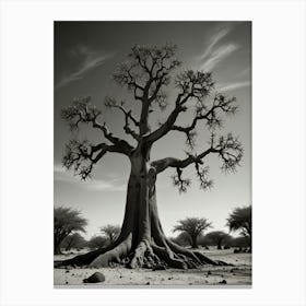 Baobab Tree Canvas Print