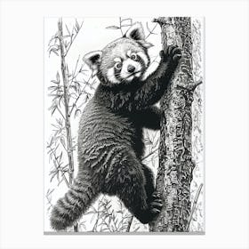 Red Panda Cub Climbing A Tree Ink Illustration 4 Canvas Print