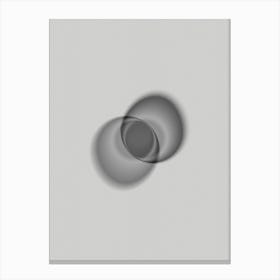 Spheres Canvas Print