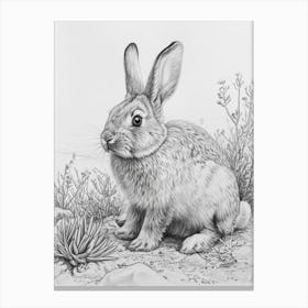 American Fuzzy Rabbit Drawing 3 Canvas Print