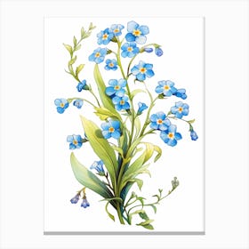 Forget Me Not Wildflower (3) Canvas Print