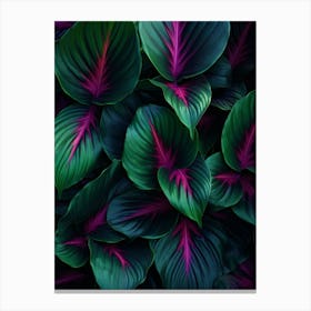 Colourful Leaves 3 Canvas Print