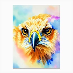 Golden Eagle Watercolour Bird Canvas Print