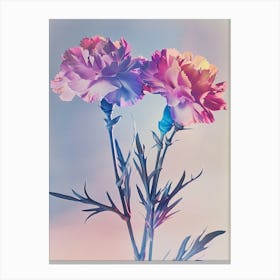Iridescent Flower Carnation 2 Canvas Print