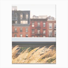 New York, USA I Nature on the High Line skyline boho bohemian, savage pampa grass with gold aesthetic photography in the city wind in front of New Yorker lofts with retro vintage brick architecture from a film Canvas Print