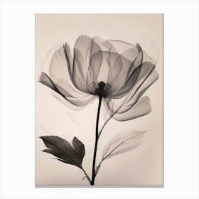 Black And White Flower 3 Canvas Print