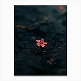 Flower In Water 2 Canvas Print