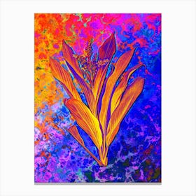Cordyline Fruticosa Botanical in Acid Neon Pink Green and Blue Canvas Print