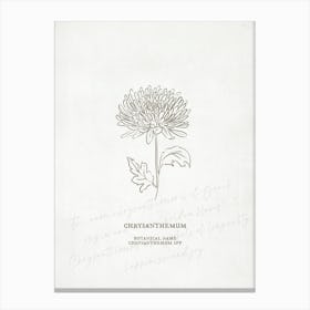 Chrysanthemum Birth Flower | Antique Canvas Print
