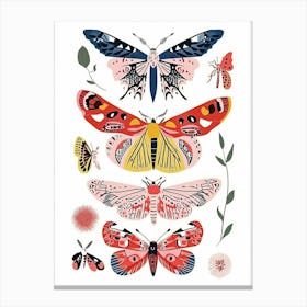 Colourful Insect Illustration Butterfly 5 Canvas Print