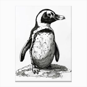 African Penguin Hatching 1 Canvas Print