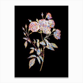 Stained Glass Ternaux Rose Bloom Mosaic Botanical Illustration on Black n.0290 Canvas Print