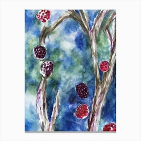 Raspberry Classic Fruit Canvas Print