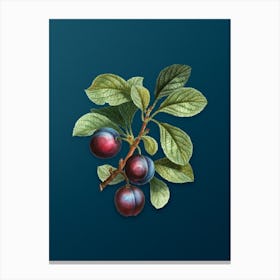 Vintage Cherry Plum Botanical Art on Teal Blue n.0609 Canvas Print