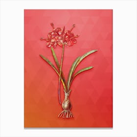 Vintage Guernsey Lily Botanical Art on Fiery Red n.0286 Canvas Print