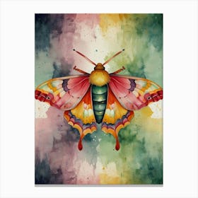 Colorful Moth Canvas Print