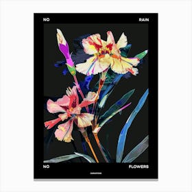 No Rain No Flowers Poster Carnation Dianthus 3 Canvas Print