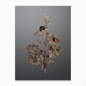 Gold Botanical Mediterranean Cypress on Soft Gray n.2528 Canvas Print