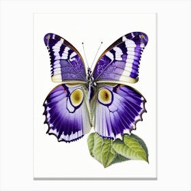 Purple Emperor Butterfly Decoupage 3 Canvas Print