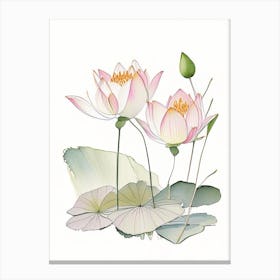 Lotus Flowers In Garden Pencil Illustration 2 Canvas Print