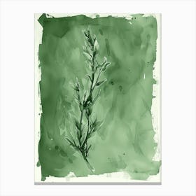 Green Ink Painting Of A Black Stem Spleenwort 1 Canvas Print