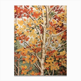 White Poplar 3 Vintage Autumn Tree Print  Canvas Print