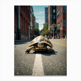 Tortoise Crossing The Street Canvas Print