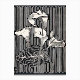 Black and White Floral Line Drawing Wall Art Print Canvas Print