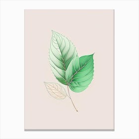 Mint Leaf Contemporary 3 Canvas Print
