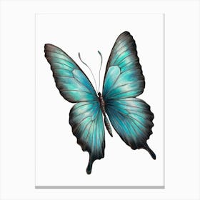 Blue Butterfly 1 Canvas Print