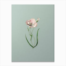 Vintage Satiny Calochortus Flower Branch Botanical Art on Mint Green n.0561 Canvas Print