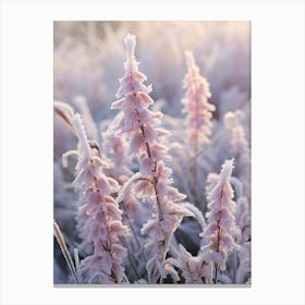 Frosty Botanical Veronica 1 Canvas Print