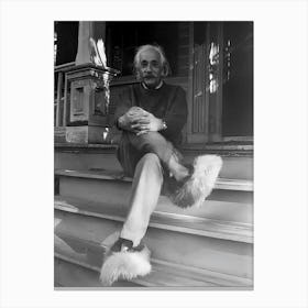 Albert Einstein Fuzzy Slippers Canvas Print