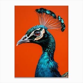 Peacock 11 Canvas Print