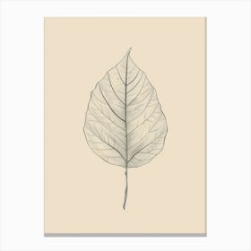 Leaf Drawing Canvas Print