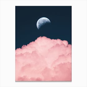 Pink Clouds In The Sky  Canvas Print