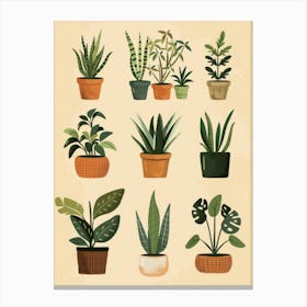 Houseplants In Pots Canvas Print